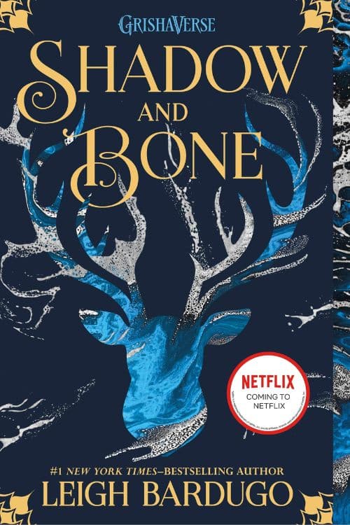 13 livres similaires à Game of Thrones pour les fans - Shadow And Bone par Leigh Bardugo