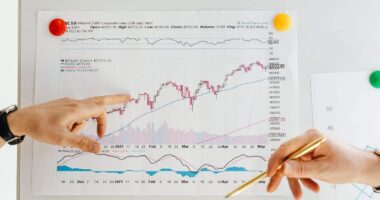 决定新公司成败的 10 个关键事实