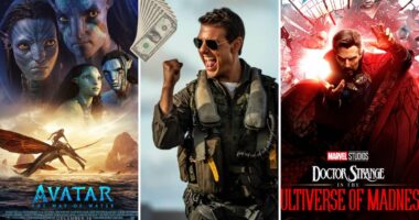 2022 کی سب سے بڑی بلاک بسٹر موویز (IMDb کے مطابق)