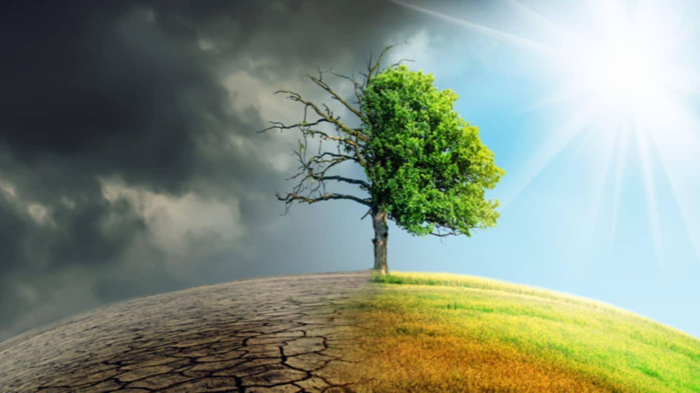 Climate change mitigation and adaptation