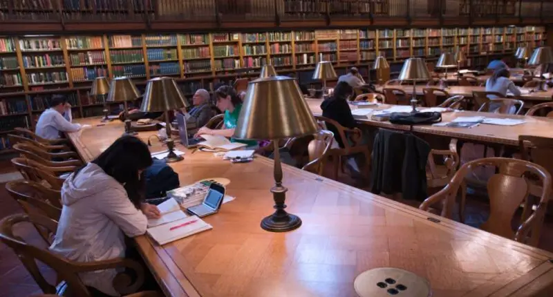 How Libraries Foster Literacy And Learning