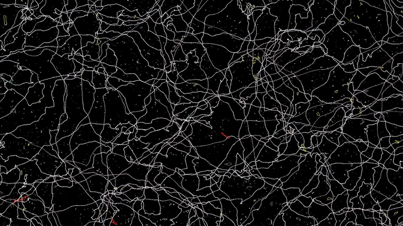 Cosmic Strings