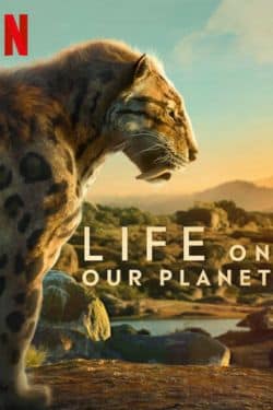 'Vida en nuestro planeta'