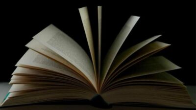 طویل ابواب بمقابلہ مختصر ابواب: جو قارئین کو صفحات پلٹتے رہتے ہیں؟